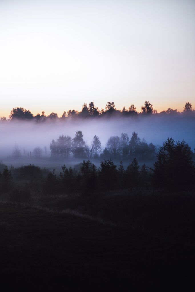 pexels D°DDµDoNDµD¹ NND½D¸ND¸D½ 8671538